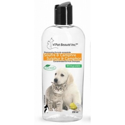 4 Pat Beauté Shampooing Soufre & Camphre 250 ml  