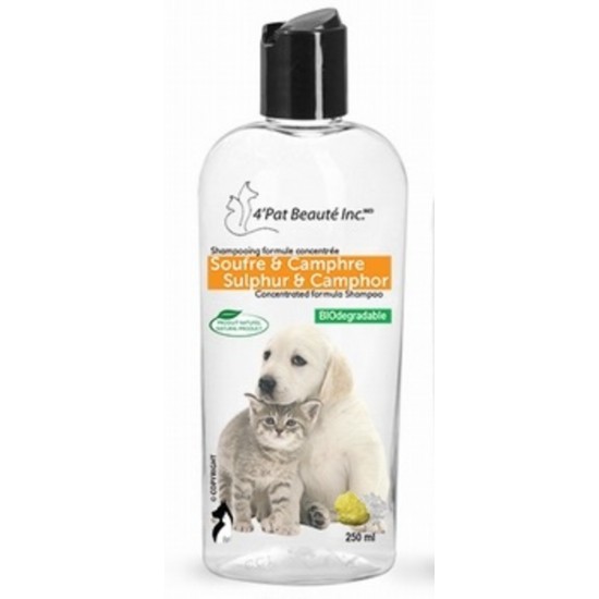4 Pat Beauté Shampooing Soufre & Camphre 250 ml  