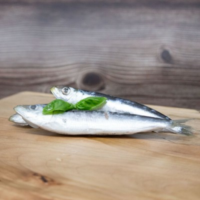 Big Country Raw Sardines 1 lb