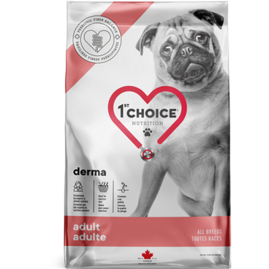 1st Choice Chien Derma 2 kg    