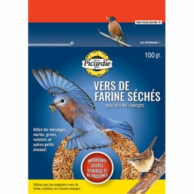 Picardie Vers De Farine 100g