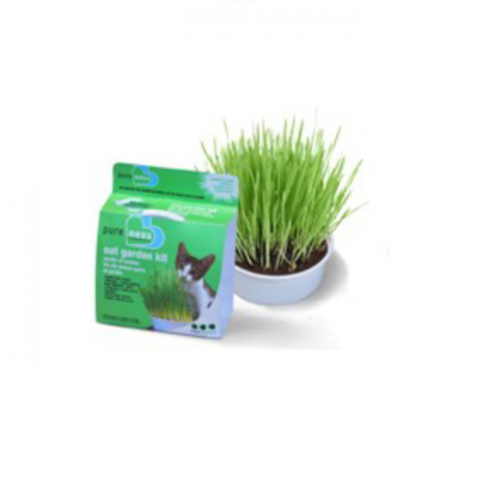 Van Ness Herbe a chat jardin avoine 28g