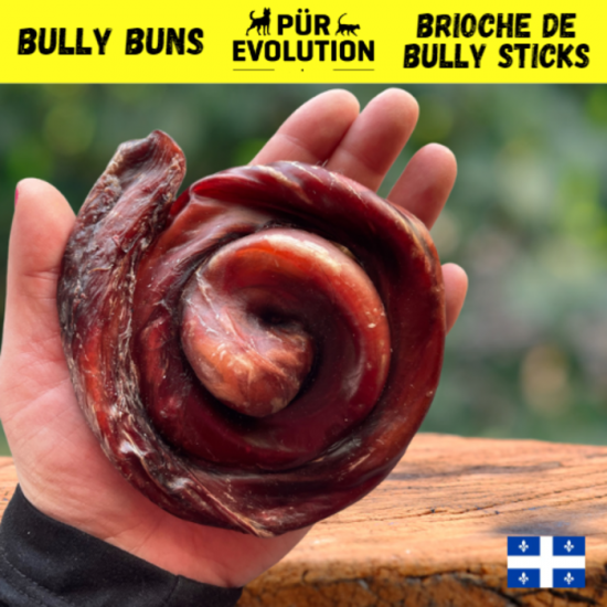 Pur Evolution Brioche de Bully Stick Medium     