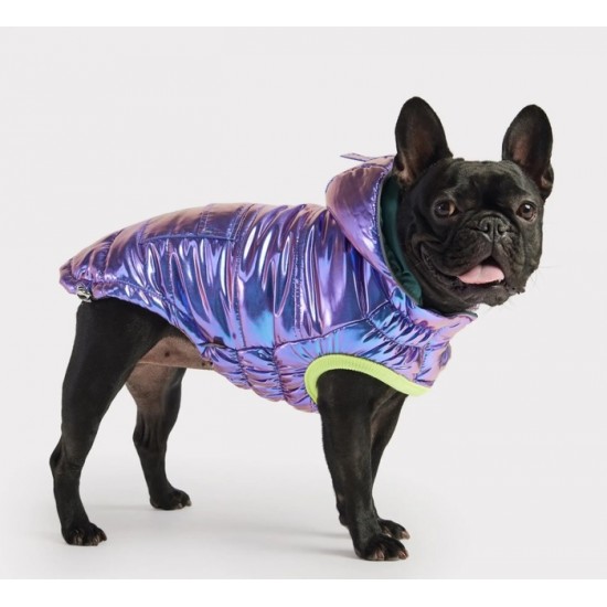 GF PET Manteau Iridescent Medium