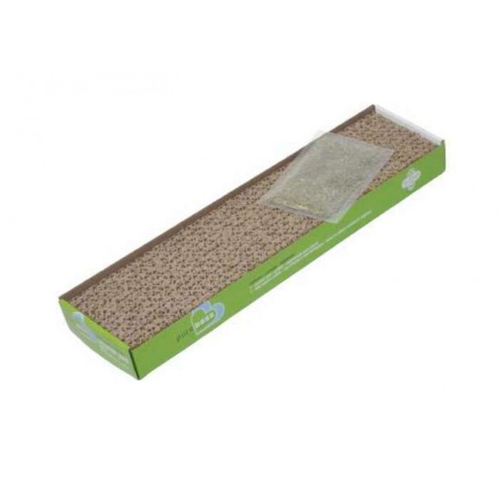 Van Ness Griffoir Simple Carton & Herbe