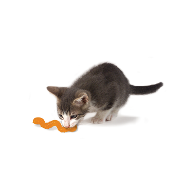 Kong Laser pour chat 