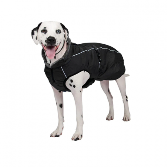 Greenhawk Chien Manteau Noir  Small