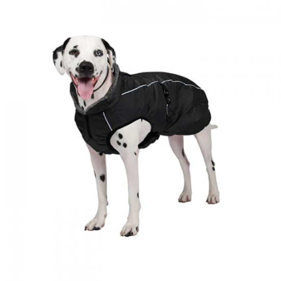 Greenhawk Chien Manteau Noir  XSmall