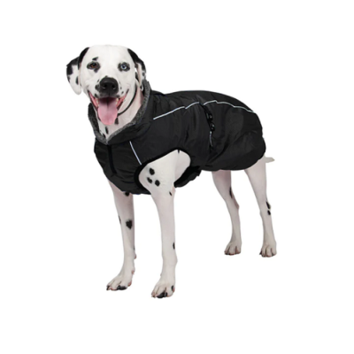 Greenhawk Chien Manteau Rouge XSmall