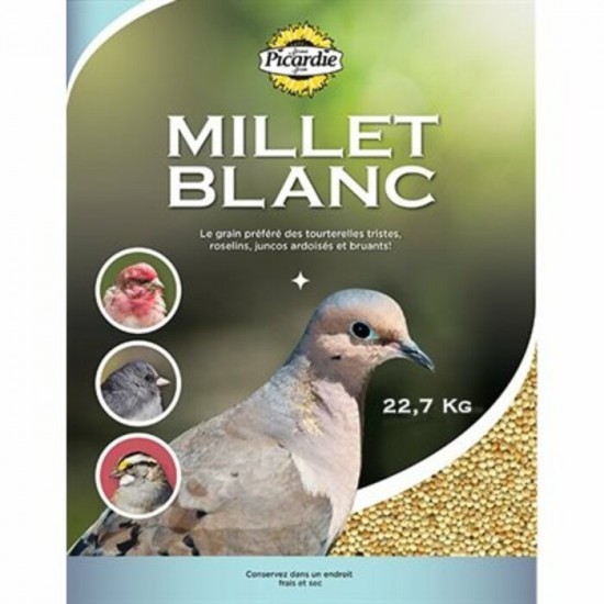 PICARDIE Millet Blanc 2 kg