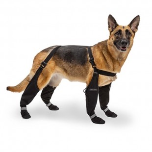 CAN POOCH Bottes Suspender Taille 1 Long