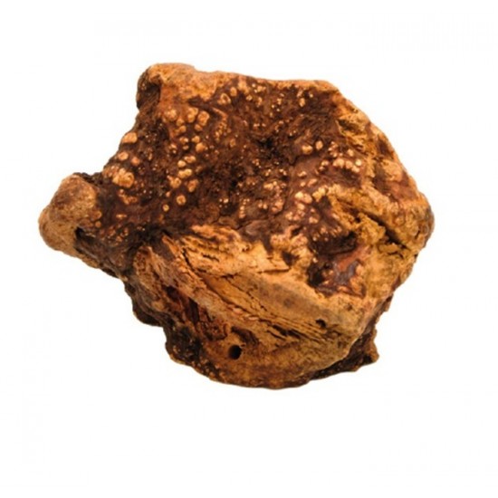 Racine de Bruyère Medium  (301-500g / 5-6pouces)
