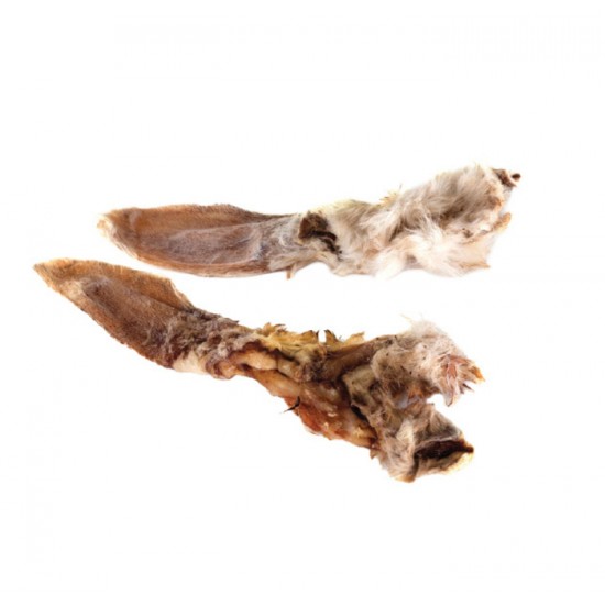 Oreille de lapin (unité)