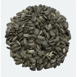 Maska Graines de Tournesol Rayé 18 kg