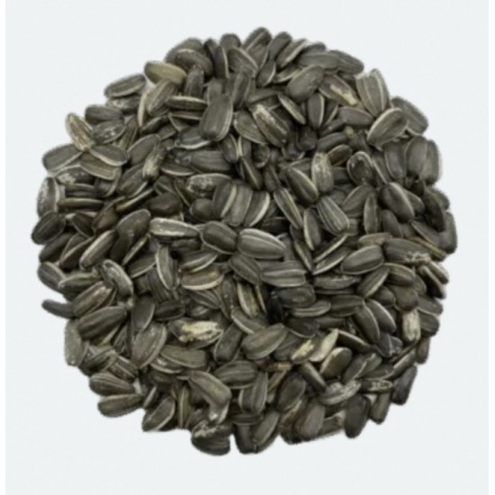 Maska Graines de Tournesol Rayé 18 kg