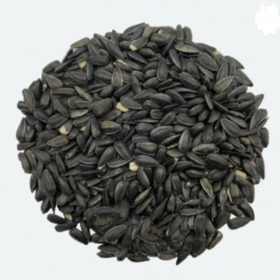 Maska Graines de Tournesol Noir 18 kg