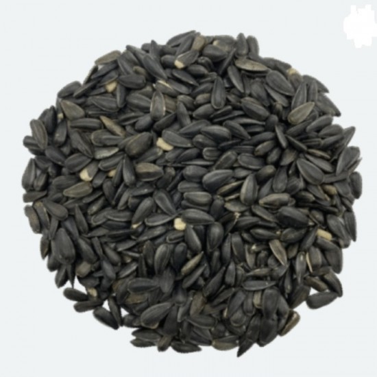 Maska Graines de Tournesol Noir 18 kg