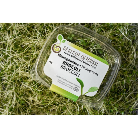 Brocoli bio 100g