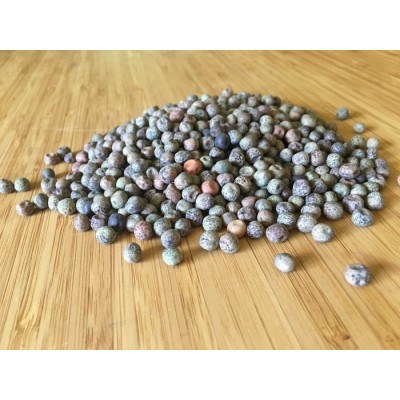 Pois mange-tout bio à germer 500g