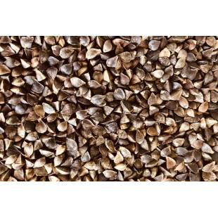 Sarrasin bio à germer 500g