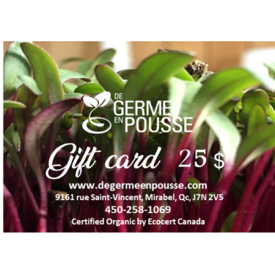 CARTE CADEAU 25$
