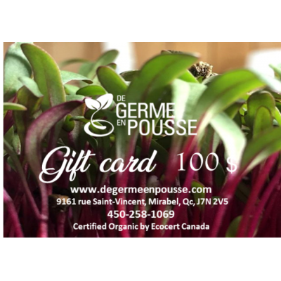 CARTE CADEAU 100$