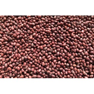 Adzuki bio à germer 250g