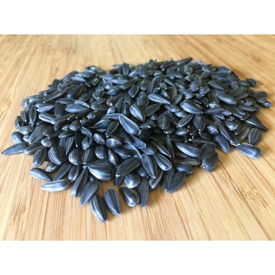Graines de tournesol bio pour oiseaux