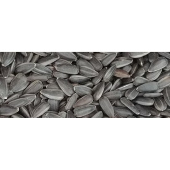 Graines de tournesol bio pour oiseaux Graines de tournesol bio pour oiseaux