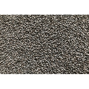 Basilic bio à germer 50g