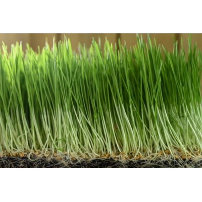 Orge bio à germer 500g