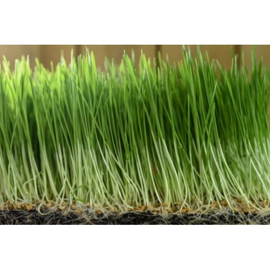 Orge bio à germer 500g