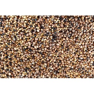 Mélange Santé bio 100g