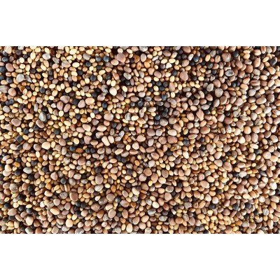 Mélange Santé bio 100g