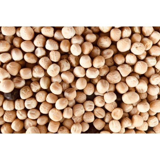 Pois Chiche bio à germer 250g