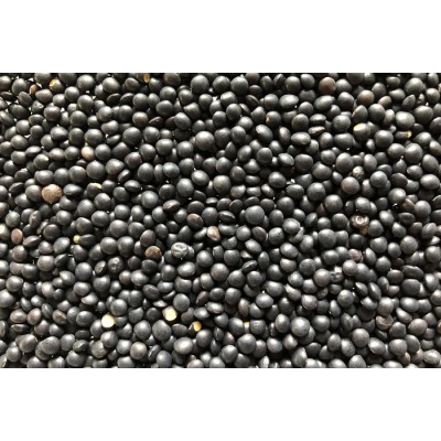 Lentille Béluga (noire) bio à germer 250g