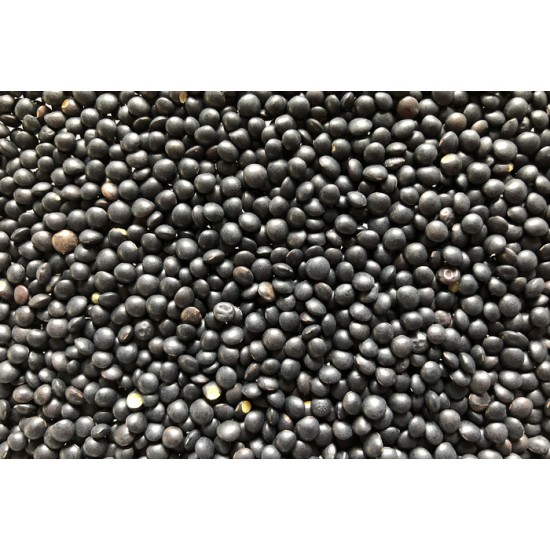 Lentille Béluga (noire) bio à germer 250g