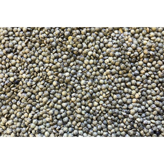 Lentille française (verte) bio à germer 250g