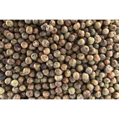 Pois mange-tout bio à germer 5 kg