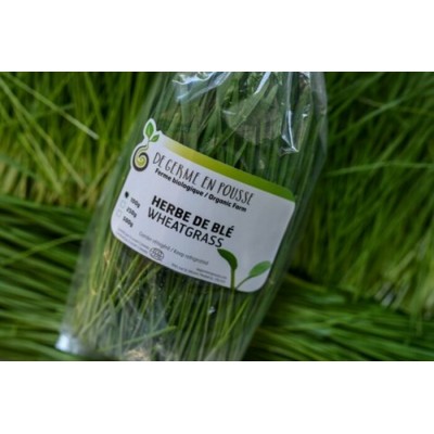 Herbe de blé bio 100g