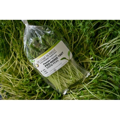 Pois mange-tout /salade/jus 250g