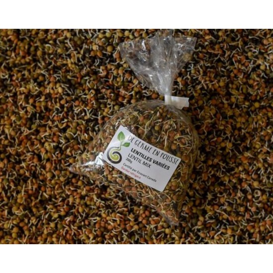 Germinations de lentilles bio 200g