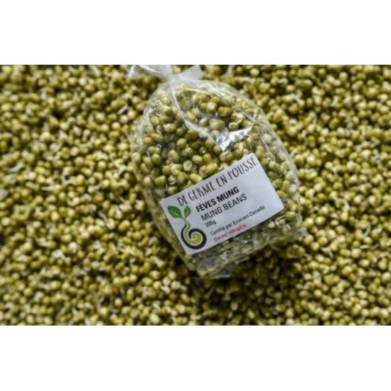 Germinations de fèves mung bio 200g