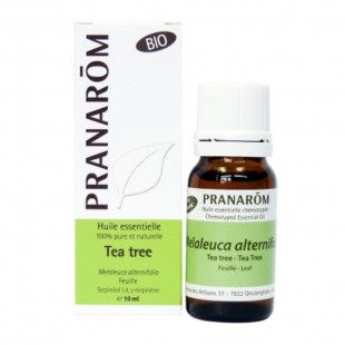 Tea tree - Huile essentielle