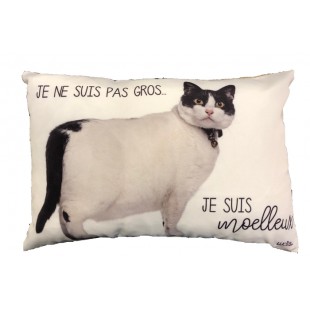  Coussin  Je Ne Suis Pas Gros, Je Suis Moelleux