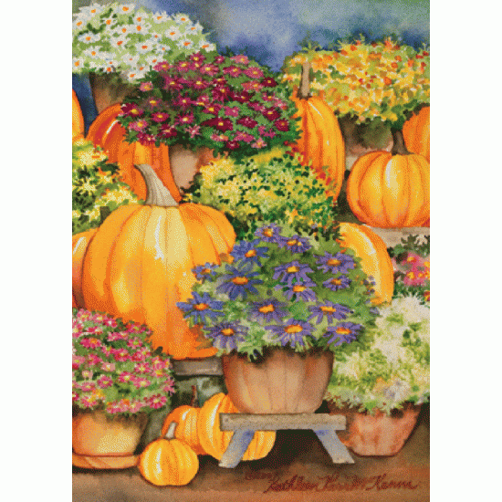 Citrouilles et fleurs