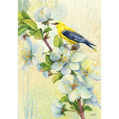 Oiseau sur la Branche 