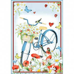 Mon Vélo est bleu