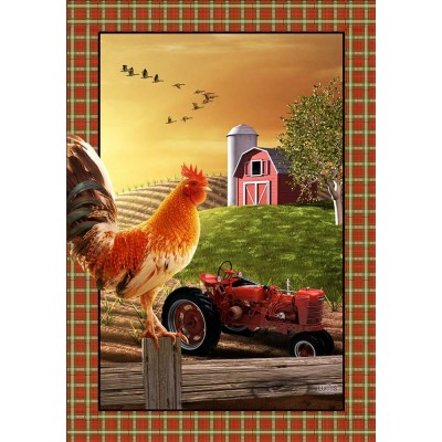 Tracteur & Coq