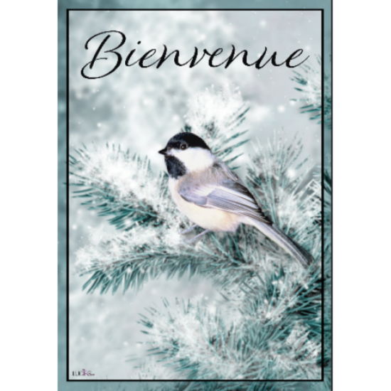 L'oiseaux dans le sapinage/Bienvenue
